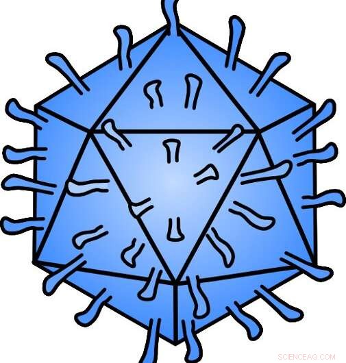 Novel Antiviral Strategy Disrupts Viral Assembly