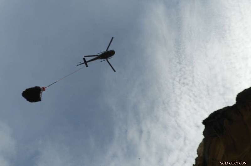 South African Scientists Uncover 500kg Historical Artifact with Innovative Rescue Operation