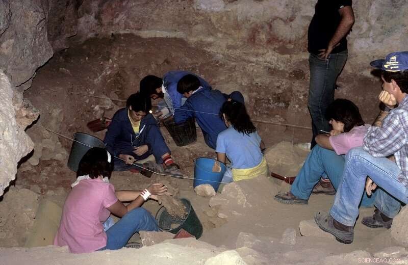 New Study Suggests Neanderthals Were Primarily Carnivorous