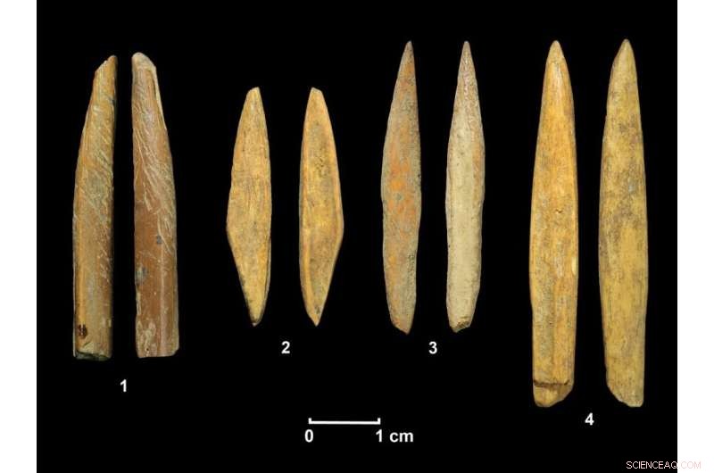 Stone Tools Enabled Human Expansion into Southeast Asian Rainforests - 45,000 Years Ago