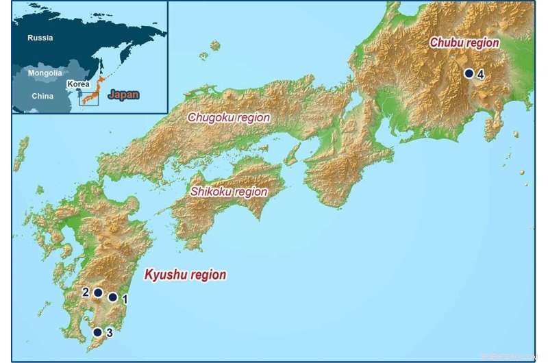 Ancient Japanese Cockroach History: 5,000+ Year Old Separation Discovered