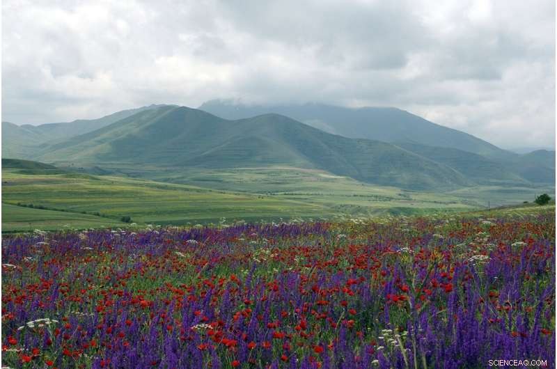 Paleolithic Diet Deciphered: Ancient DNA Reveals Plant Use by Early Humans