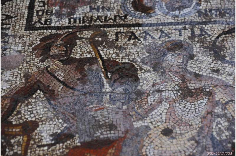Rare Roman Mosaic Unearthed in Syria – A Major Archaeological Find