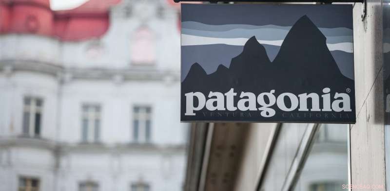 Patagonia s Ethical Capitalism: A Critical Look at Their New Approach