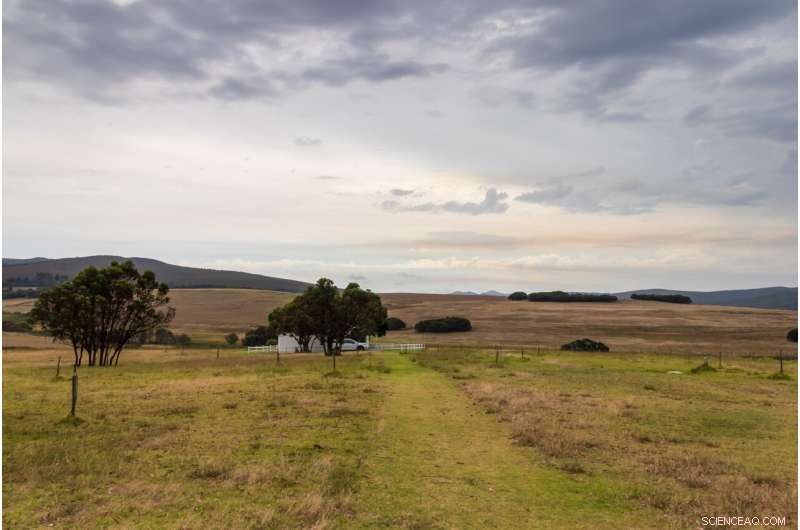 Challenges for Small-Scale Farmers in South Africa s Food Value Chain