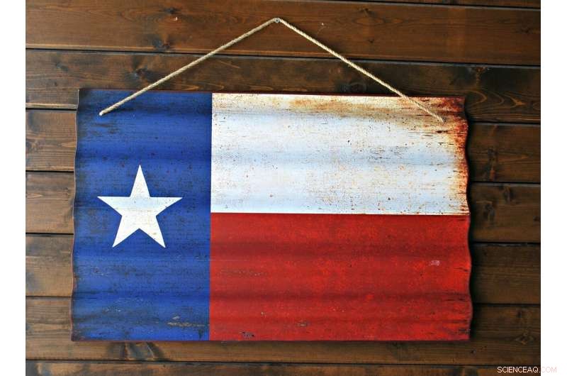 Texas Demographics: Hispanic Majority & Policy Implications