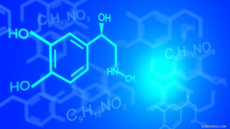 Public Demands Safer Products: Voters Support Chemical Safety Regulations