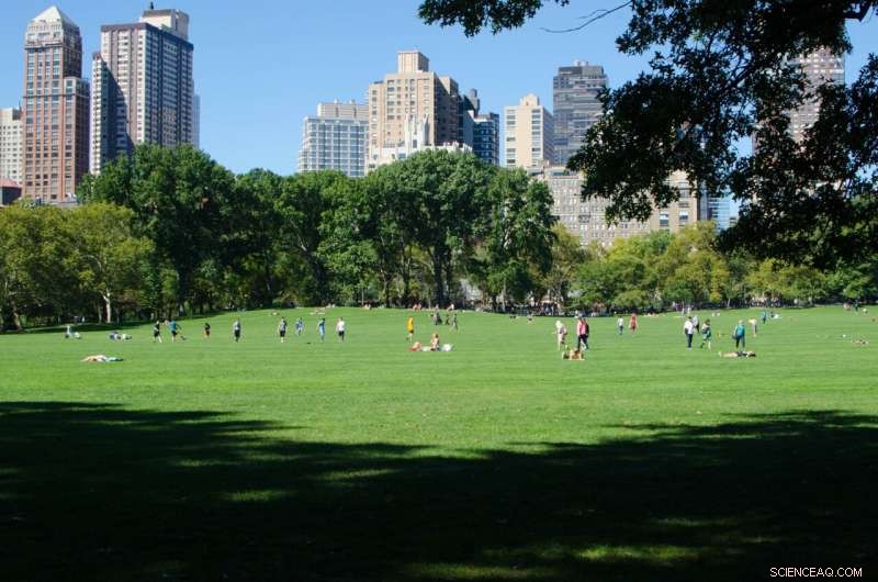 Green Spaces & Crime Reduction: A Study of US Cities