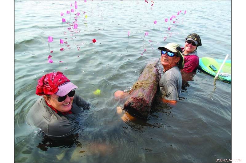 Maya Salt Production: Archaeologists Discover Underwater Homes of Salt Workers