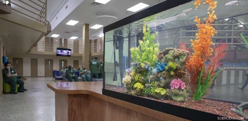 Humanizing Prisons: Pennsylvania s Scandinavian-Style Reform & Its Impact on US Corrections