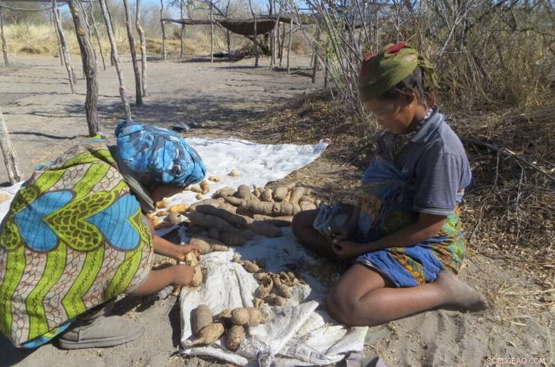 Economic Empowerment of Hunter-Gatherer Women: A 44-Year Study