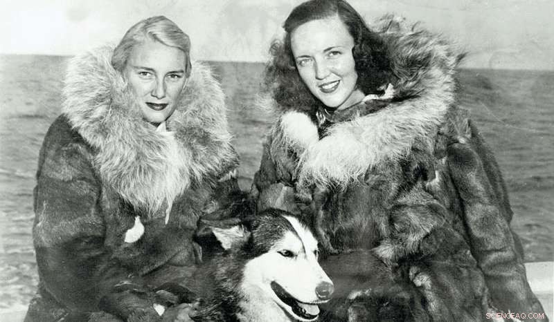 Sexual Assault and Harassment in Antarctica: A Critical Report