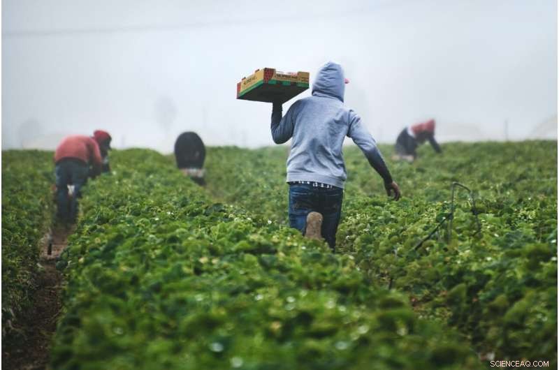 Housing & Health Risks for Migrant Farmworkers: A Critical Issue