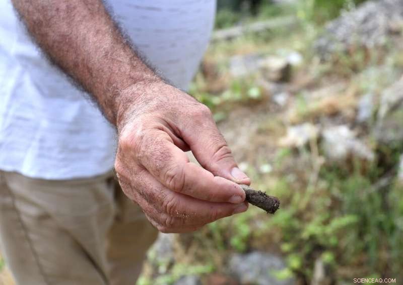 Albanian Antiquities Under Threat: Looting Crisis Deepens