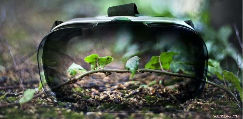 VR for Environmental Education: Enhancing Outdoor Learning Experiences