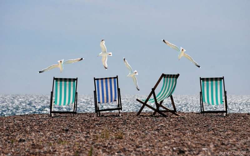 Personalized Travel: How AI is Shaping Hotel Pricing & Perks