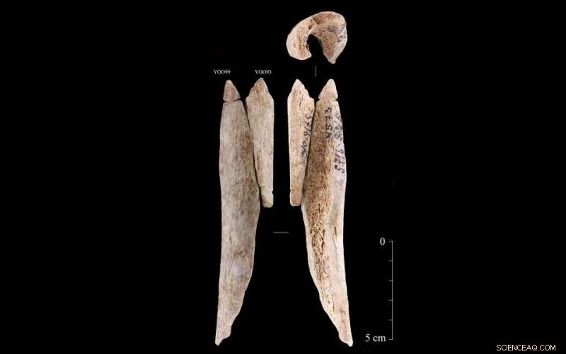 Stone Age Bone Pendants: Symbolism and Craftsmanship