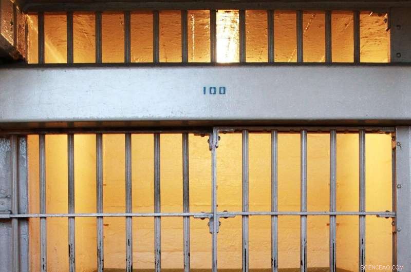 Does Incarceration Really Make Us Safer? Examining US Crime Rates and Public Safety