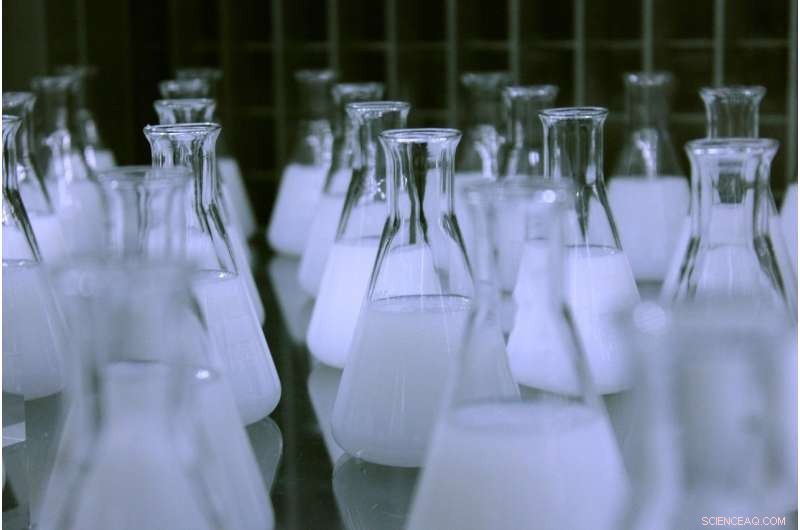 Why Chemistry Should Precede Biology for Enhanced Scientific Understanding