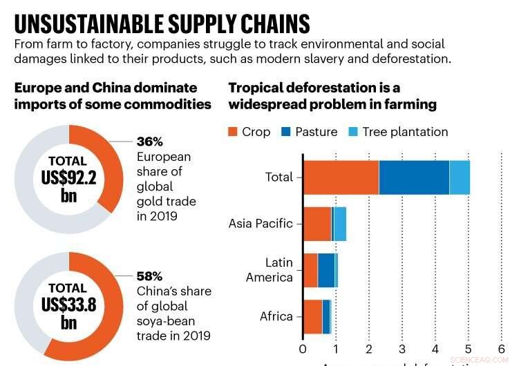 Supply Chain Origins: Tracing the Sources of Everyday Products