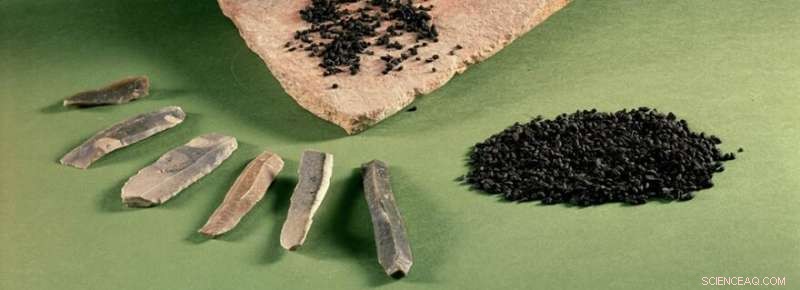 Ancient Dutch Burial Site Reveals Surprising Insights into Gender Roles 7,000 Years Ago