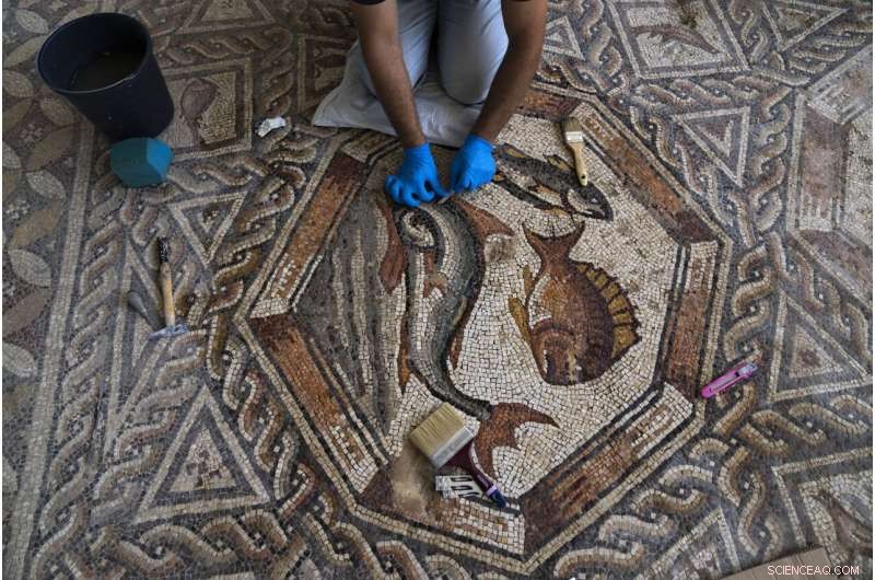 Roman Mosaics Return to Israel: New Museum Celebrates Ancient Art