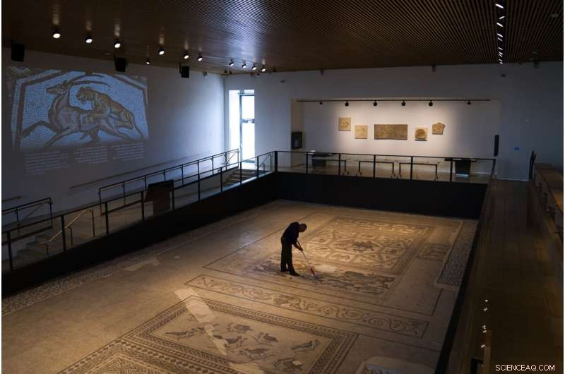 Roman Mosaics Return to Israel: New Museum Celebrates Ancient Art