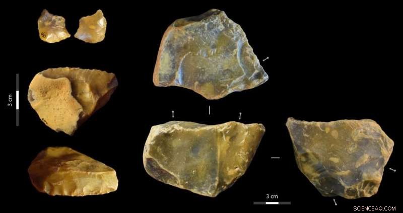 Ancient Human History Unearthed in Canterbury: 600,000-Year-Old Finds
