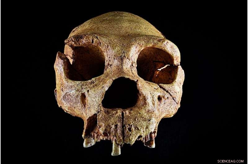 Ancient Human History Unearthed in Canterbury: 600,000-Year-Old Finds