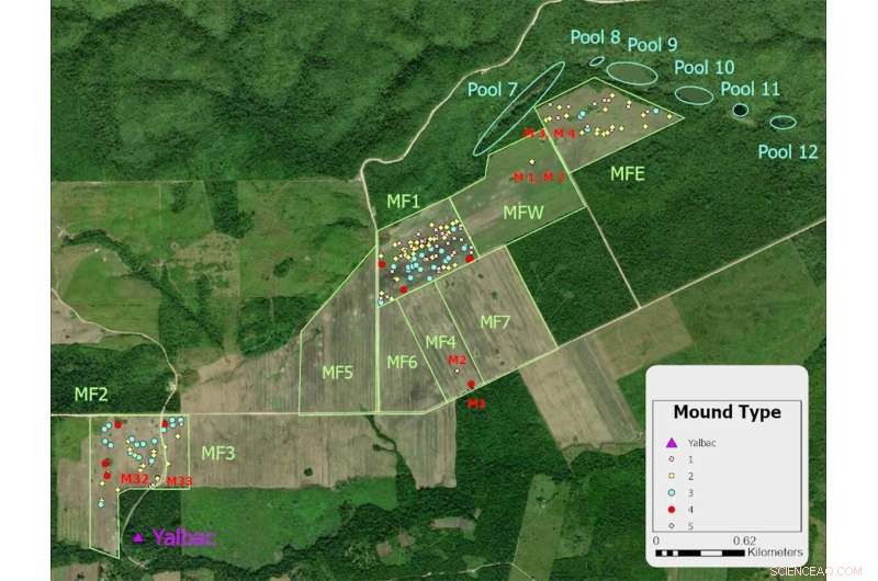 Preserving Ancient Maya History: The Impact of Agriculture in Belize