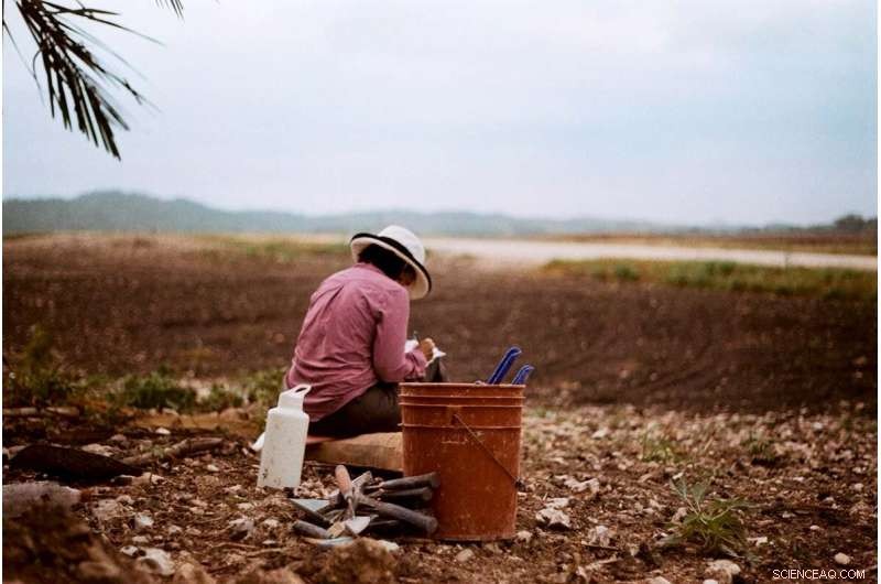 Preserving Ancient Maya History: The Impact of Agriculture in Belize