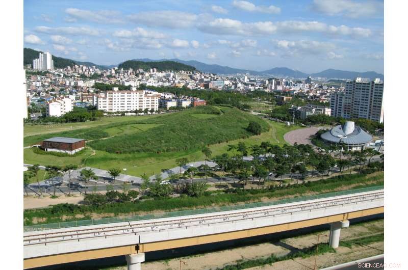 Ancient Korean DNA Reveals Genetic Diversity of Three Kingdoms Era