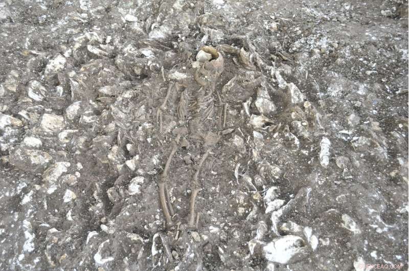 Ancient Korean DNA Reveals Genetic Diversity of Three Kingdoms Era