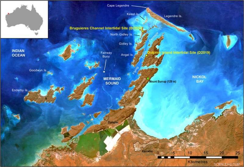 Dampier Archipelago Aboriginal Site: New Study Challenges Claims