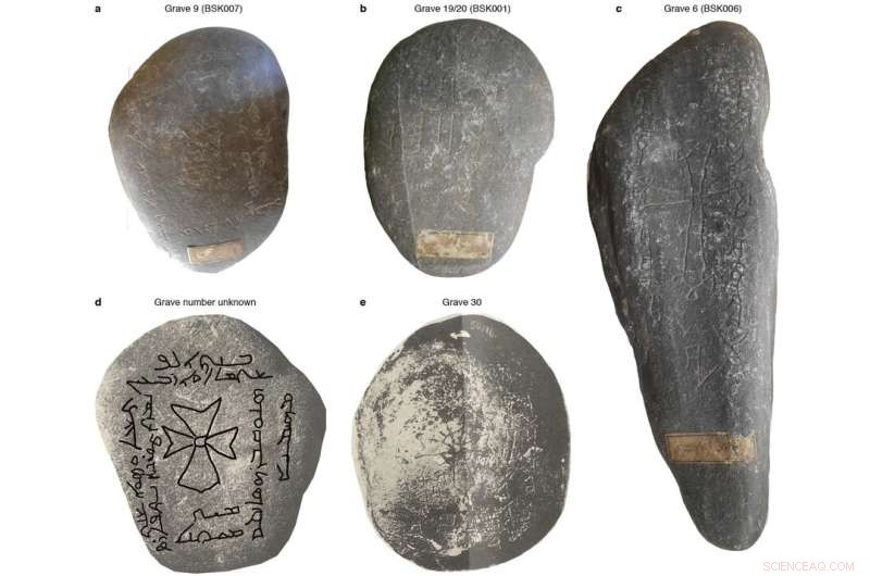 Unraveling the Origins of the Black Death: New Research Reveals Clues