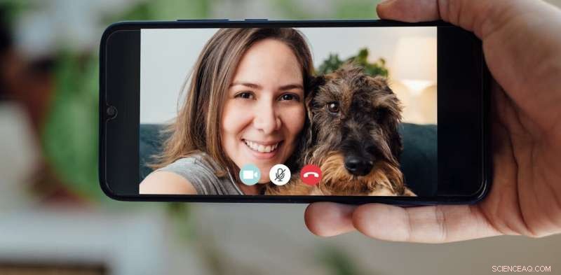 Therapy Dog Sessions for Students: Reduce Stress & Boost Well-being