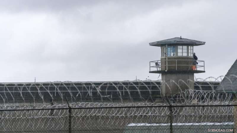 US Prison Labor: Human Rights Violations Exposed in New Report