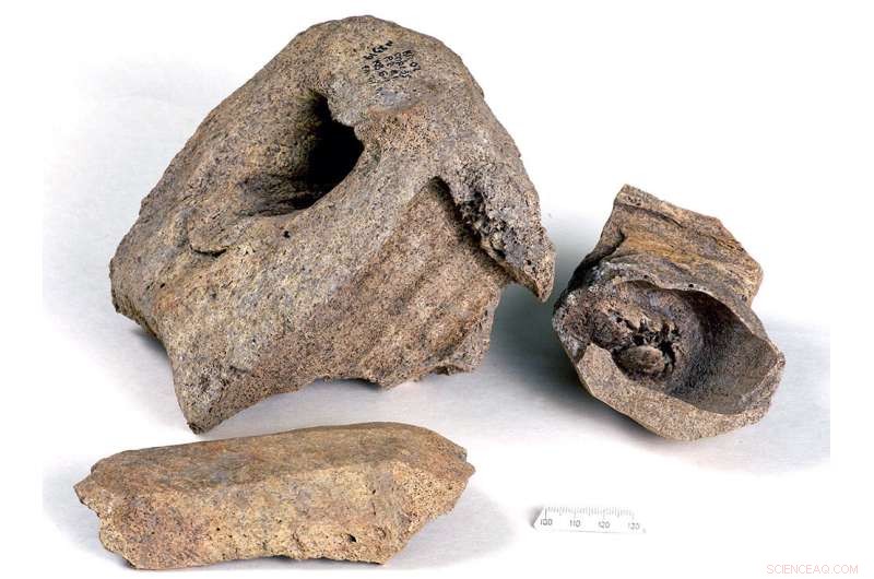 Kyiv s Ancient Trade Routes: Norse Walrus Ivory Discoveries