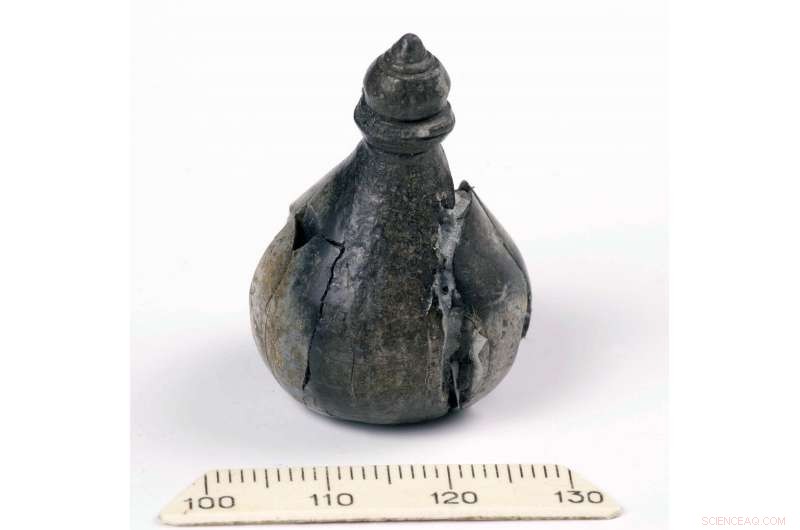 Kyiv s Ancient Trade Routes: Norse Walrus Ivory Discoveries