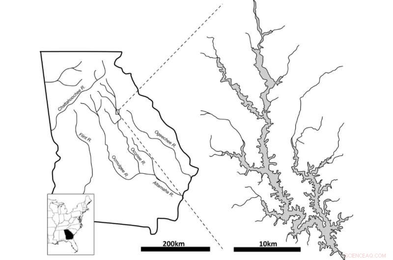Indigenous Governance in the Americas: Precursors to Modern Democracy?