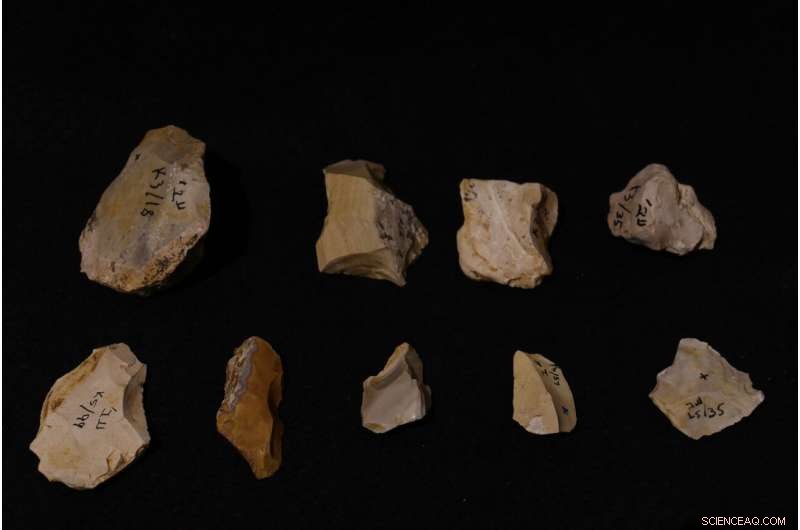 Ancient Fire Discovery in Israel Reveals Early Hominin Behavior