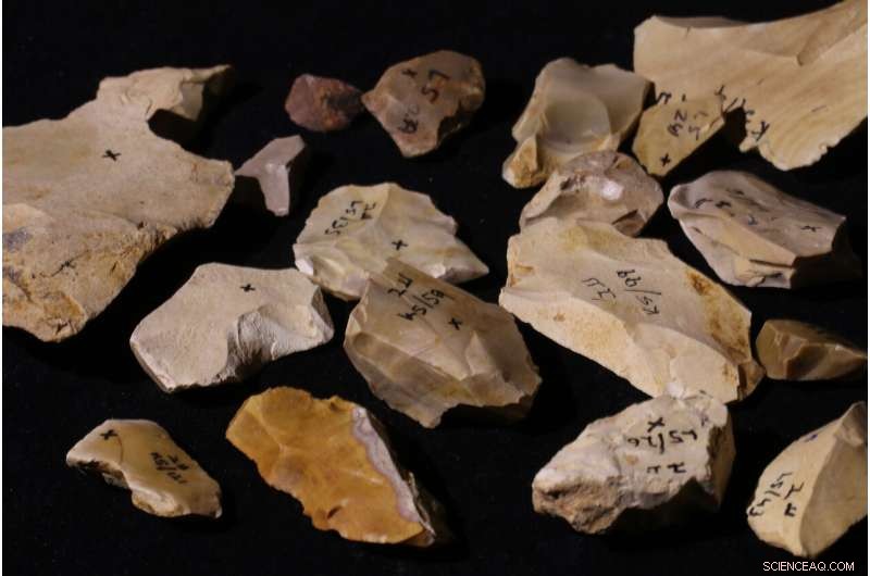 Ancient Fire Discovery in Israel Reveals Early Hominin Behavior