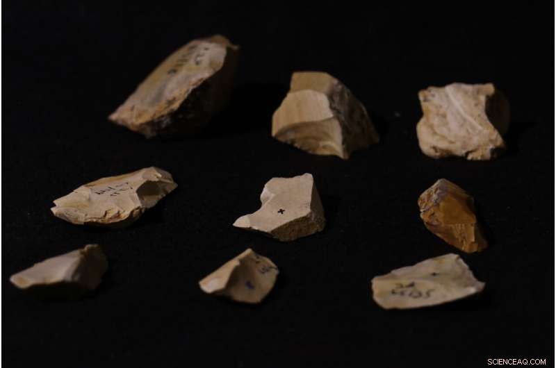Ancient Fire Discovery in Israel Reveals Early Hominin Behavior