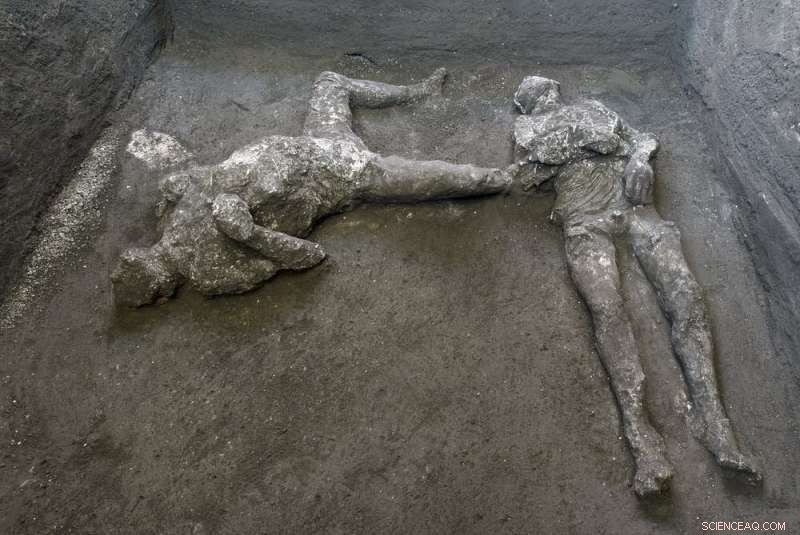 Pompeii s Hidden History: Uncovering Ancient Lives in Volcanic Ash