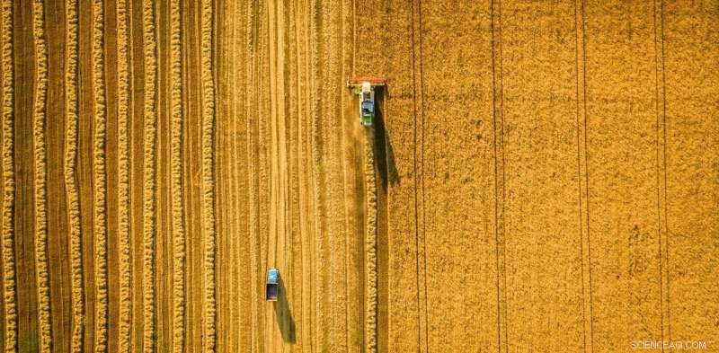 Food Industry Billionaires Soar During Pandemic: Oxfam Report