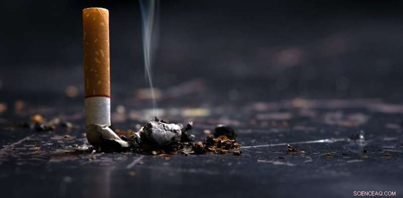 England s Smoking Reduction Plan: Evidence-Based & Potential for Further Action