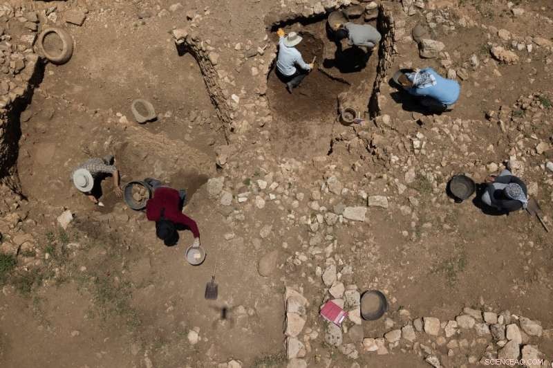 Göbekli Tepe: Unearthing the World s Oldest Religious Sanctuary in Turkey