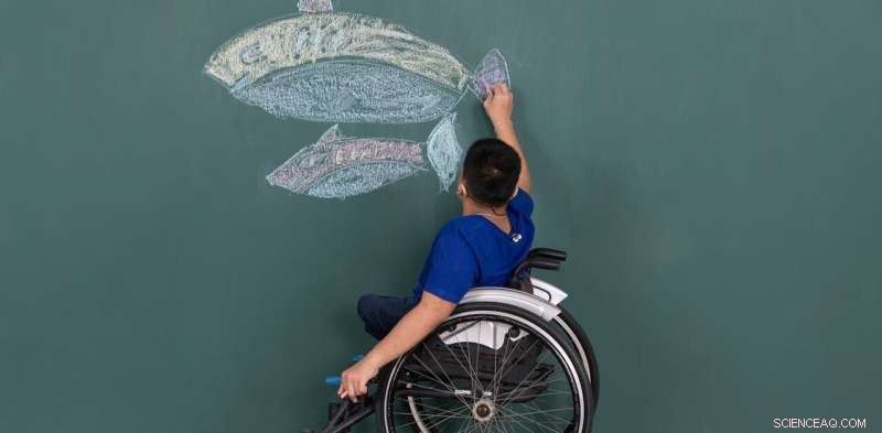 Mainstream vs. Specialized Education: Supporting Students with Disabilities in Australia