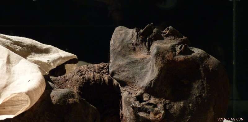 Mummy Fever: The Bizarre History of Eating Egyptian Mummies in Europe