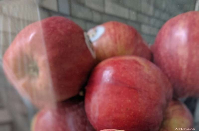 Farm Shops & Co-ops Reduce Food Waste by Up to 80% Compared to Supermarkets